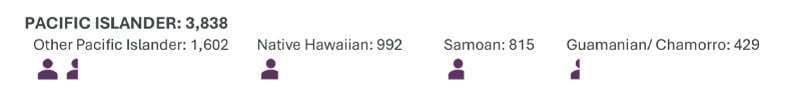Total of Pacific Islander students is 3,838. Other Pacific Islander: 1,602. Native Hawaiian: 992. Samoan: 815. Guamanian or Chamorro: 429.