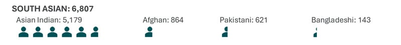 Total of South Asian students is 6,807. Asian Indian: 5,179. Afghan: 864. Pakistani: 621. Bangladeshi: 143.