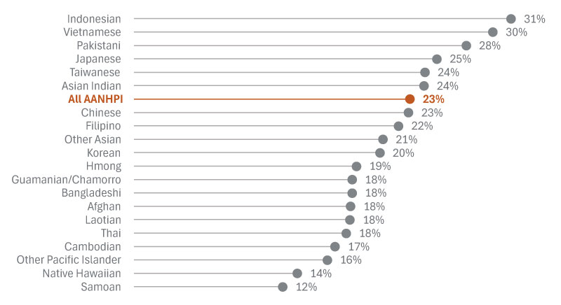Vision Goal chart showing degree completion rate for 20 AANHPI student groups ranging from 12% to 31%.